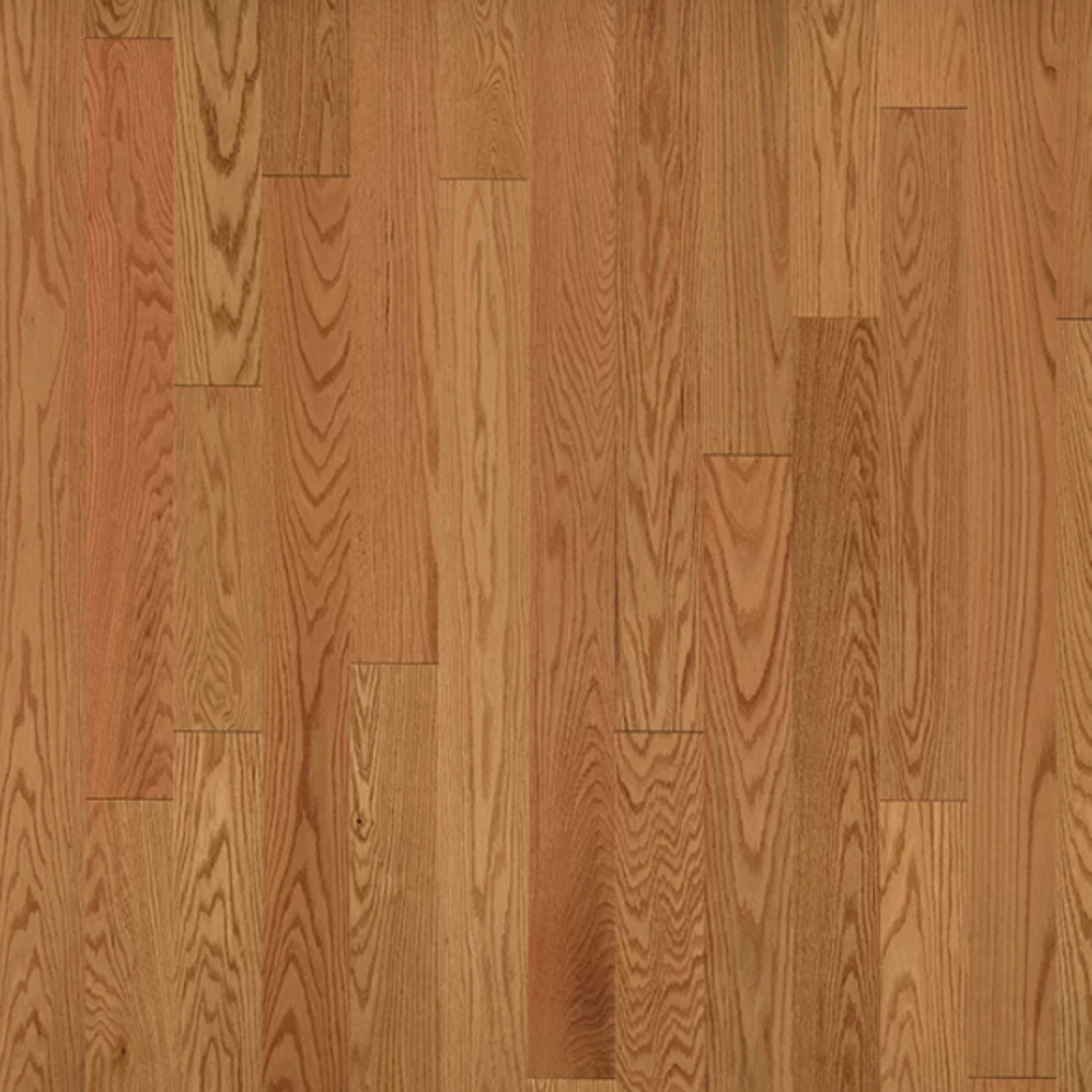 American Traditional Classics in Auburn Red Oak 5" Hardwood
