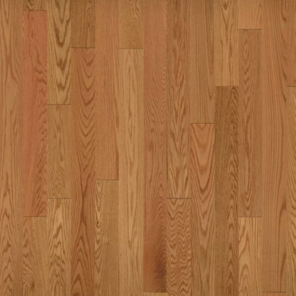 American Traditional Classics in Auburn Red Oak 5" Hardwood
