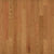 American Traditional Classics in Auburn Red Oak 5" Hardwood