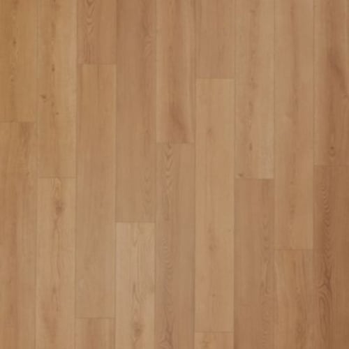 Bentwood 5.0 in Benton