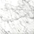 Marble Bianco Gioia Collection in 18" X 18" Honed Natural Stone