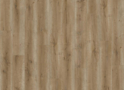 Ceramin - Sono Eclipse in Canim