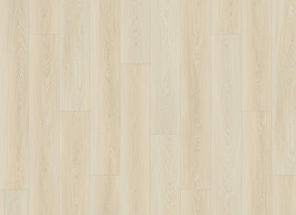 Courtier in Canterbury Oak