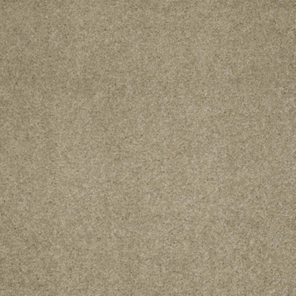 Cashmere I