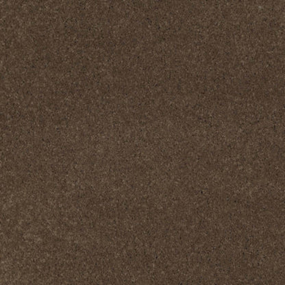 Cashmere I