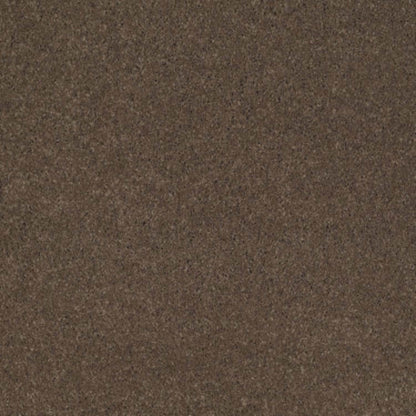 Cashmere I
