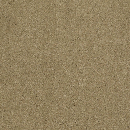 Cashmere II