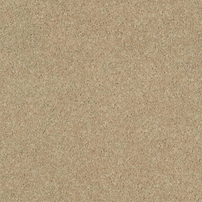 CASHMERE CLASSIC I