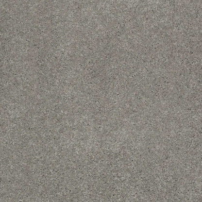 CASHMERE CLASSIC I
