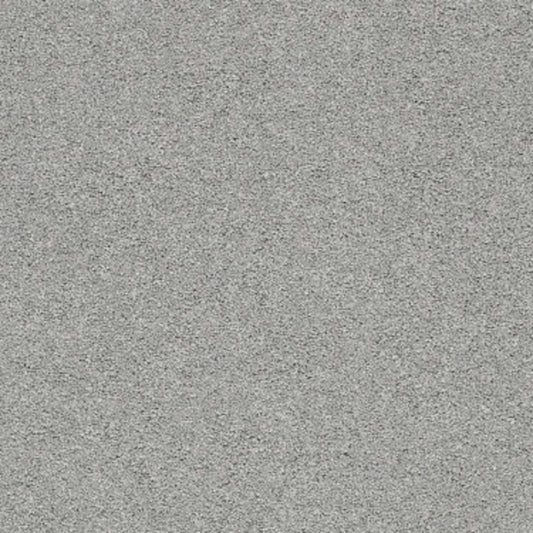 CASHMERE CLASSIC II in Birch Bark Carpet