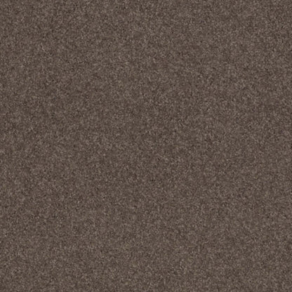 CASHMERE CLASSIC II