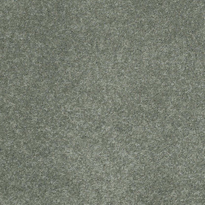 CASHMERE CLASSIC III