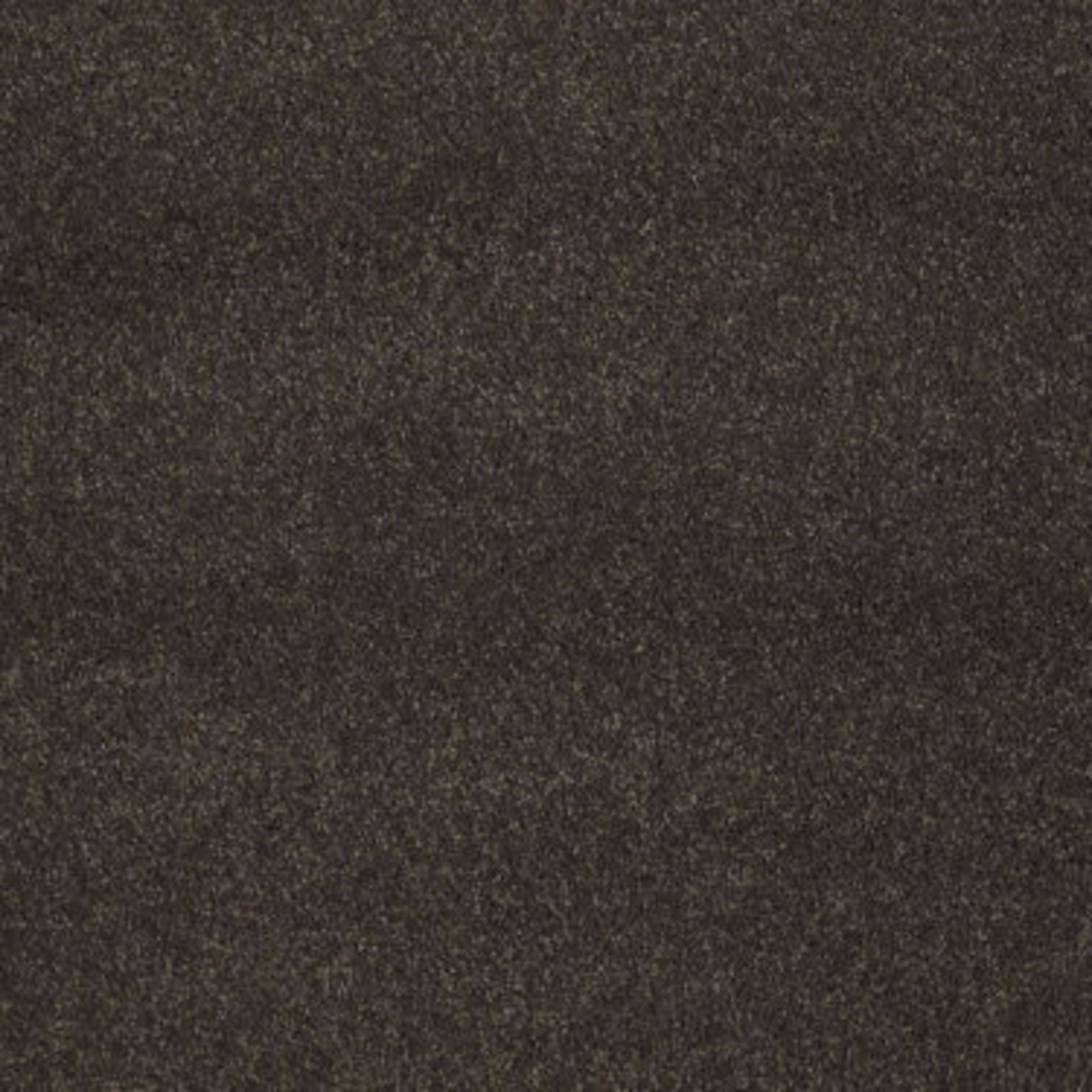 CASHMERE CLASSIC III in Chestnut Carpet