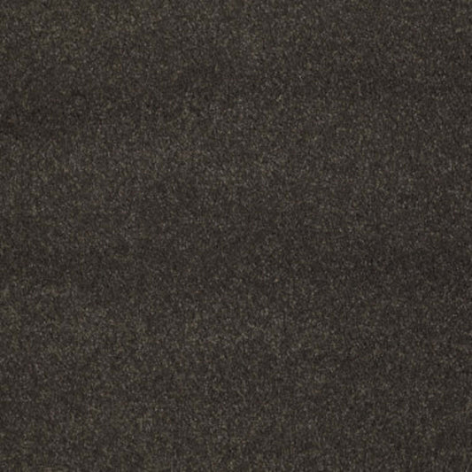 CASHMERE CLASSIC III in Chestnut Carpet