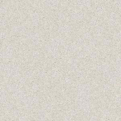CASHMERE CLASSIC IV