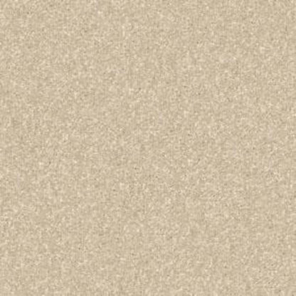 CASHMERE CLASSIC IV