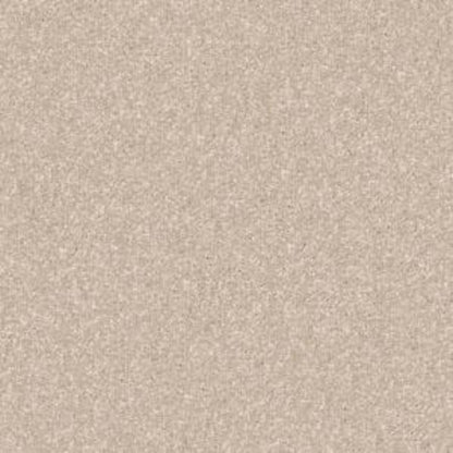 CASHMERE CLASSIC IV