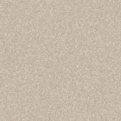 CASHMERE CLASSIC IV