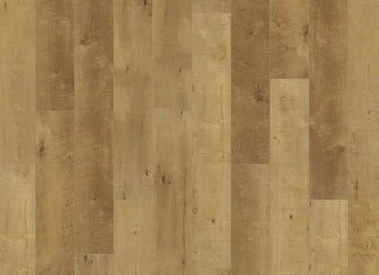 Courtier in Clyde Maple