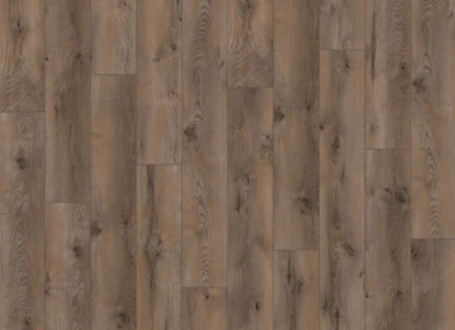Ceramin - Sono Eclipse in Coffee
