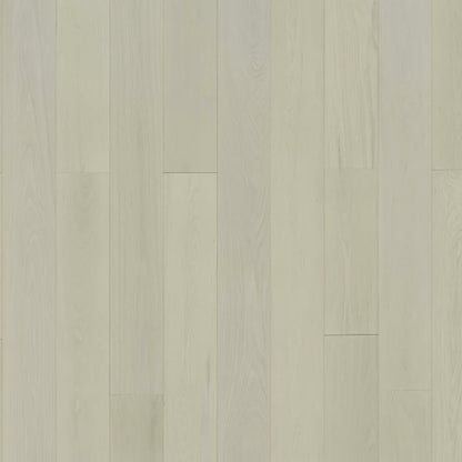 Serenity in Cozy Oak Hardwood