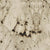 Sensa in Crescent Veil Natural Stone