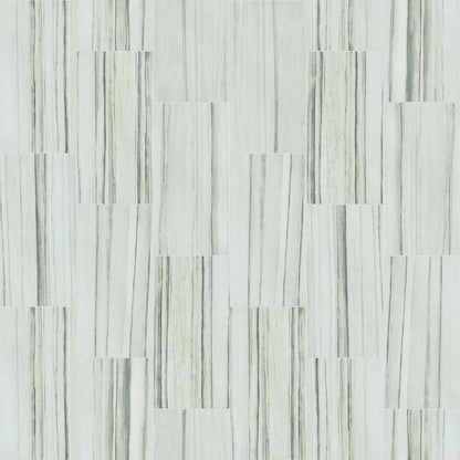 CASINO 12X24 MATTE in Zebrino Tile