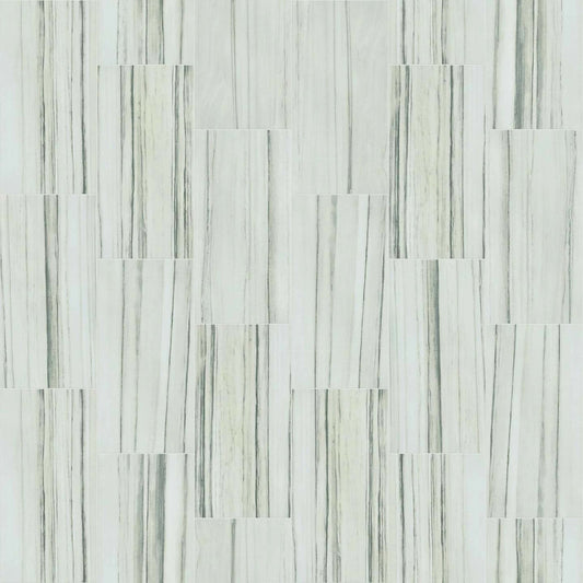 CASINO 12X24 MATTE in Zebrino Tile