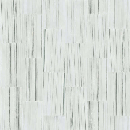 CASINO 16X32 POLISHED in Zebrino Tile