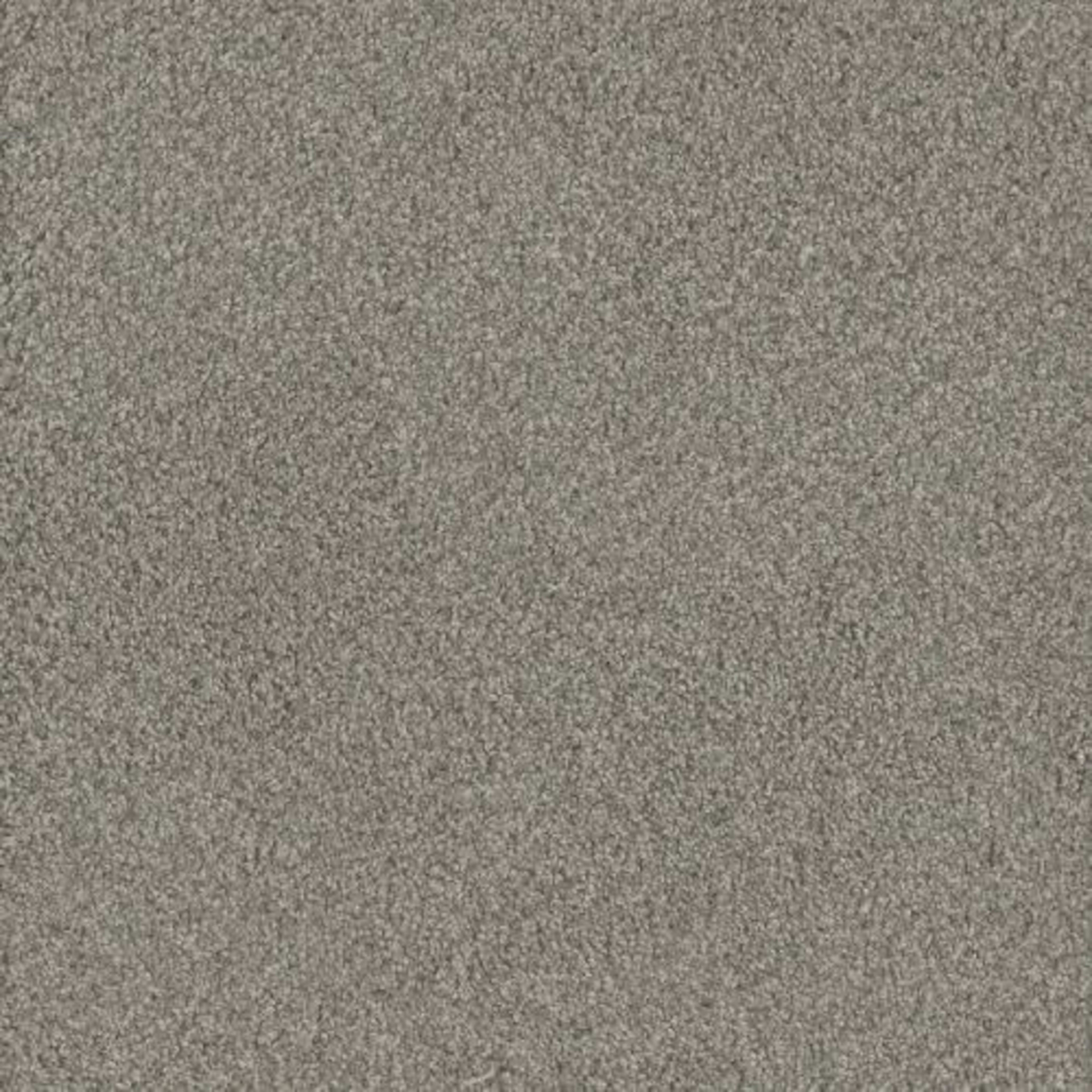NO LIMITS II in Dewberry Carpet