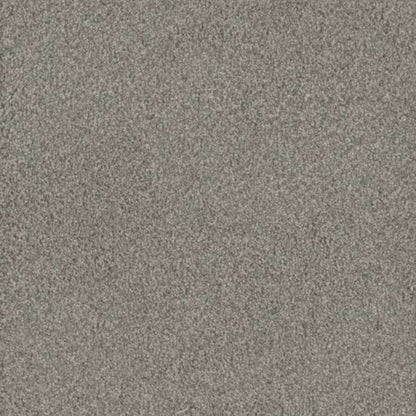 NO LIMITS II in Dewberry Carpet