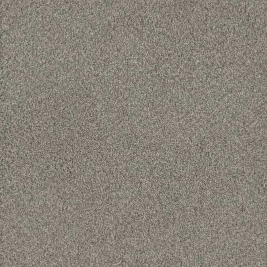 NO LIMITS II in Dewberry Carpet