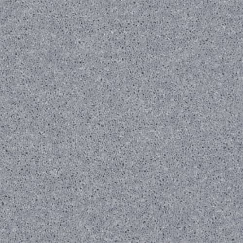 All Star Weekend II 12' in Dolphin