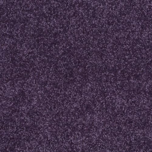 All Star Weekend II 12' in Grape Slushy