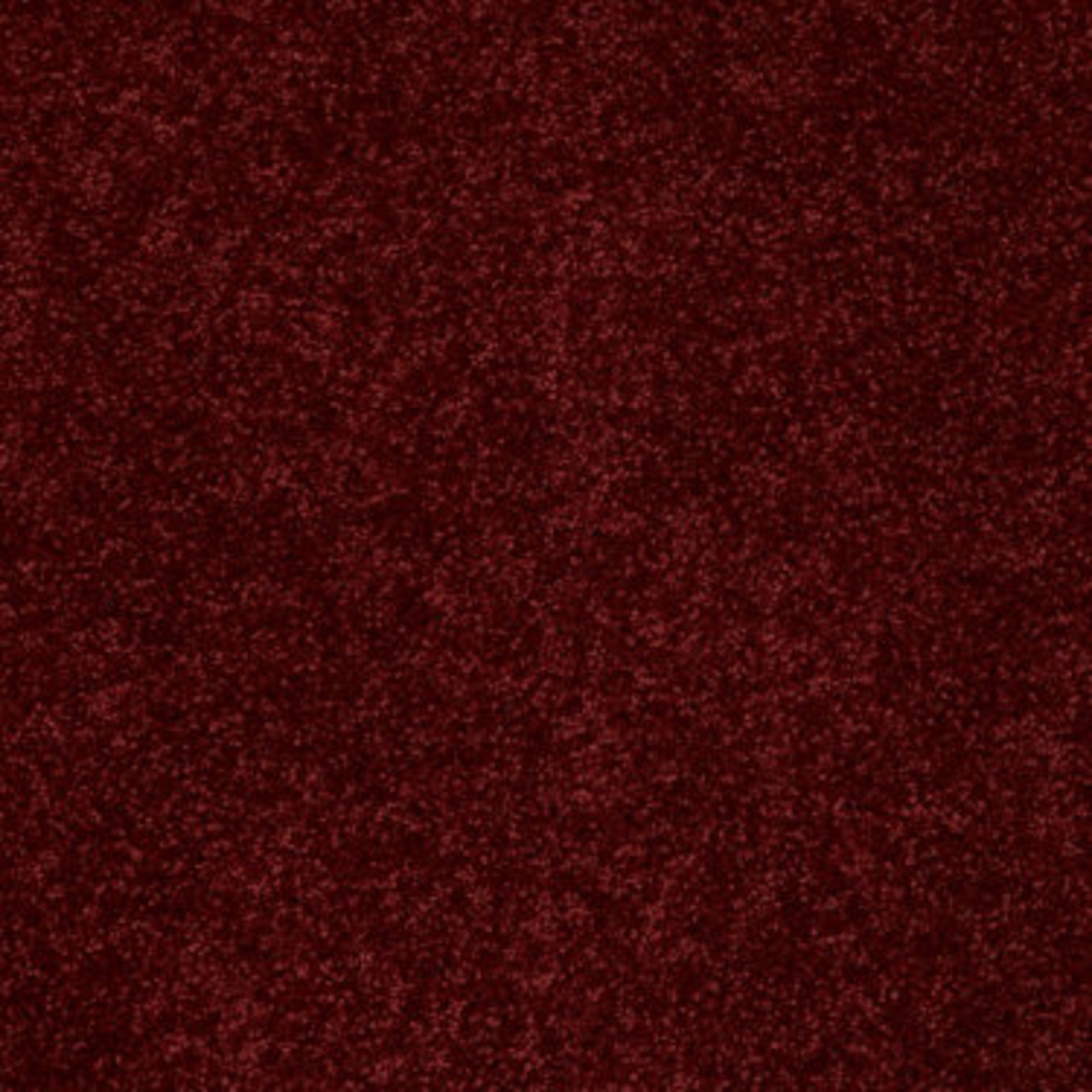All Star Weekend III 12' in Red Wine Carpet