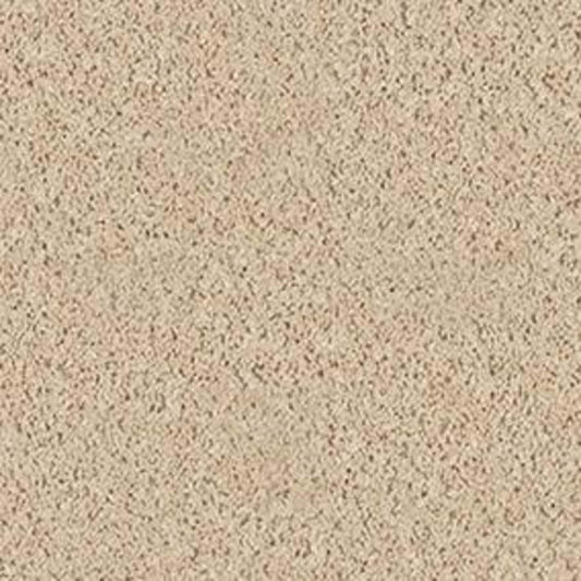Fusion Value 300 in Sand Dollar Carpet