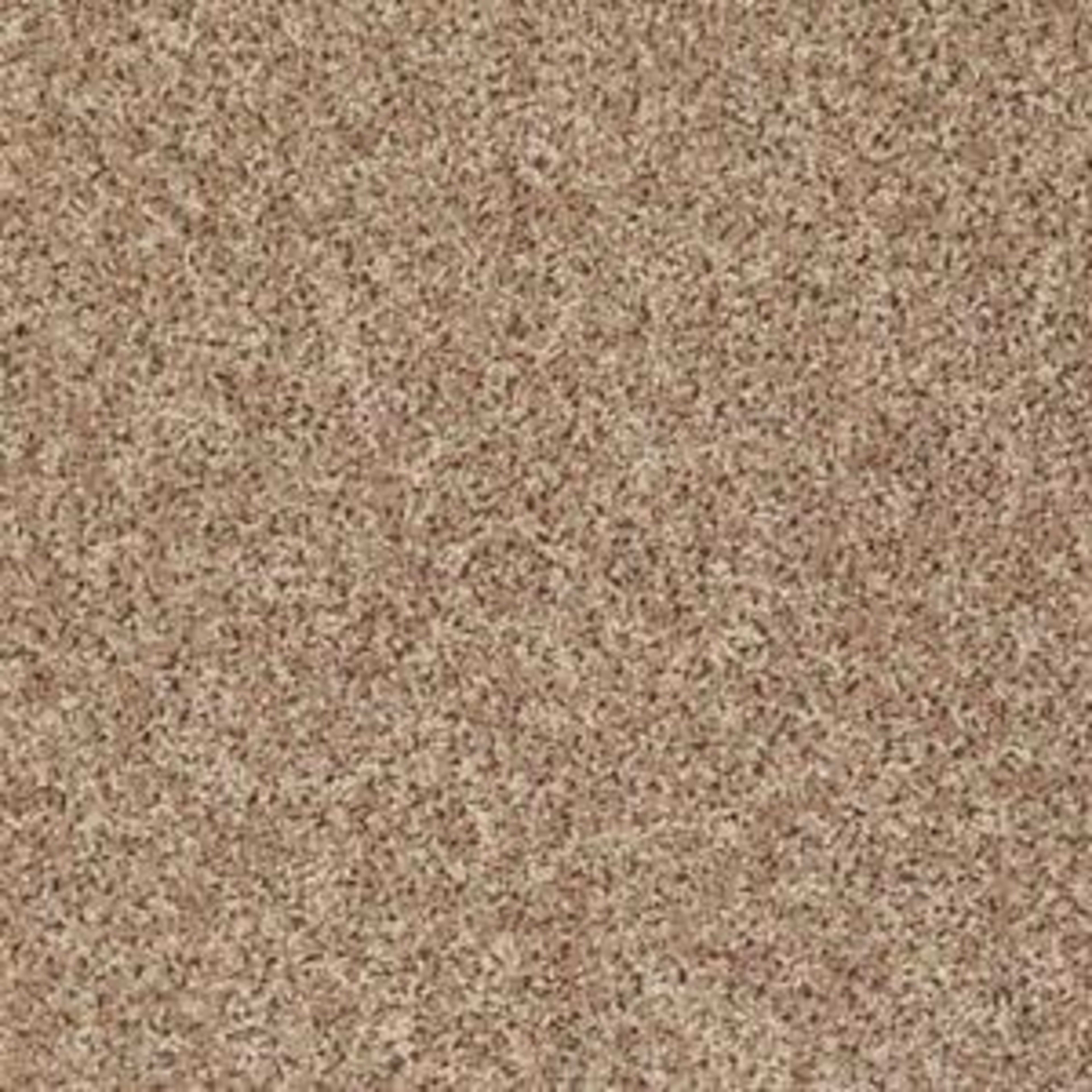 Let's Go (S) in Northern Plains Carpet