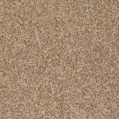 Let's Go (S) in Northern Plains Carpet