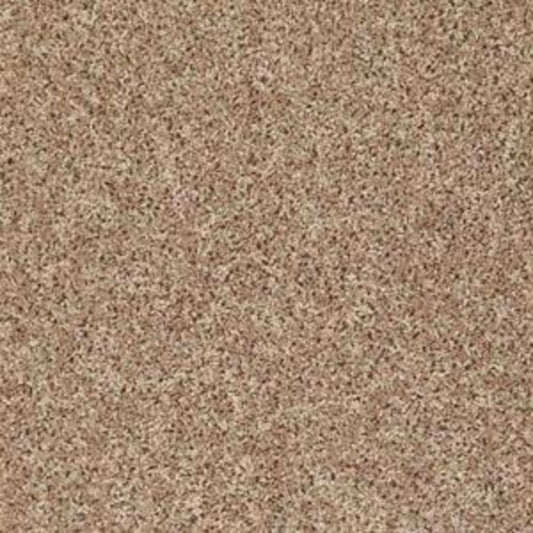 Let's Go (S) in Northern Plains Carpet