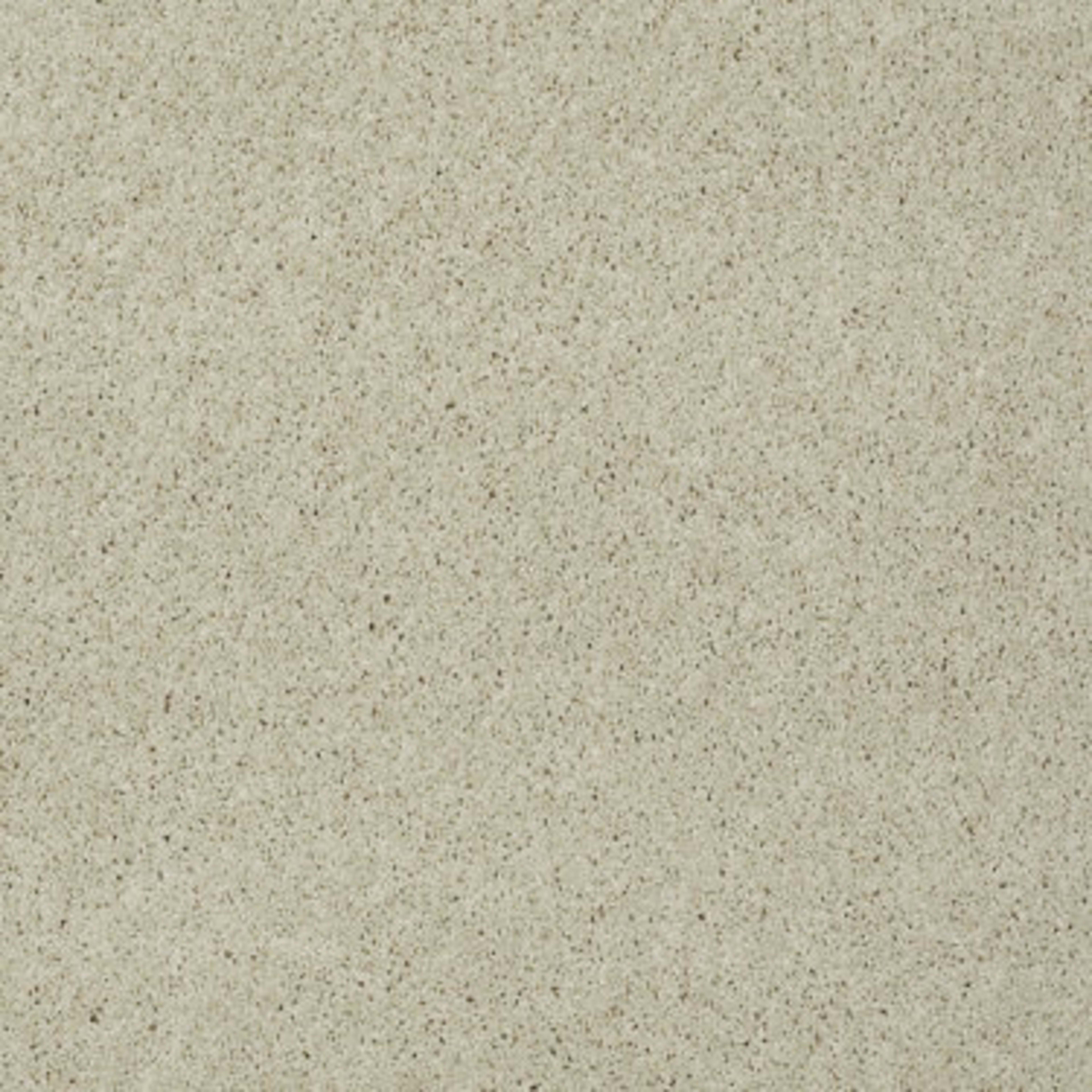 Enduring Comfort III in Candlewick Glow Carpet