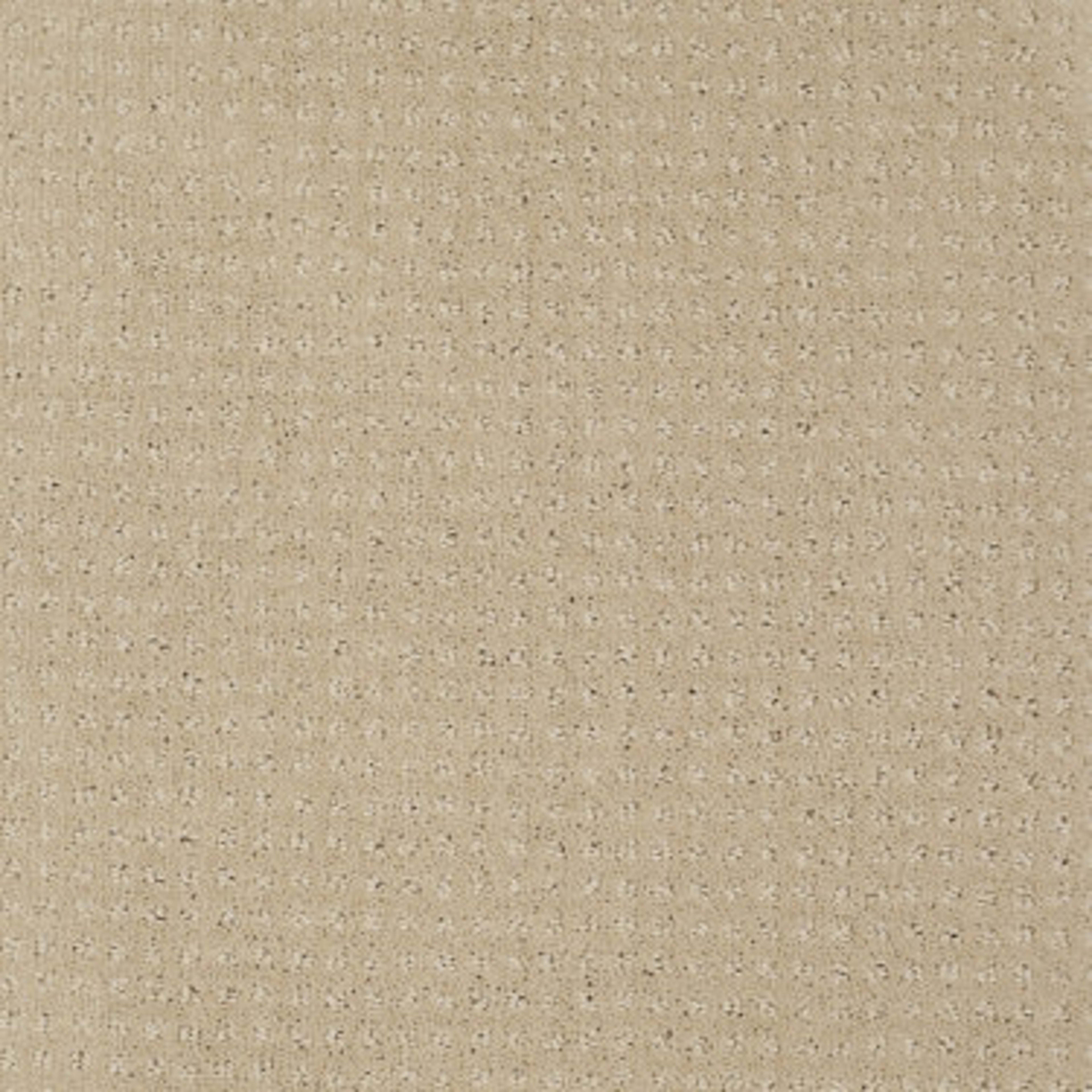 Enduring Comfort Pattern in Mesa Carpet