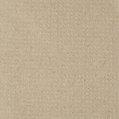 Enduring Comfort Pattern in Mesa Carpet