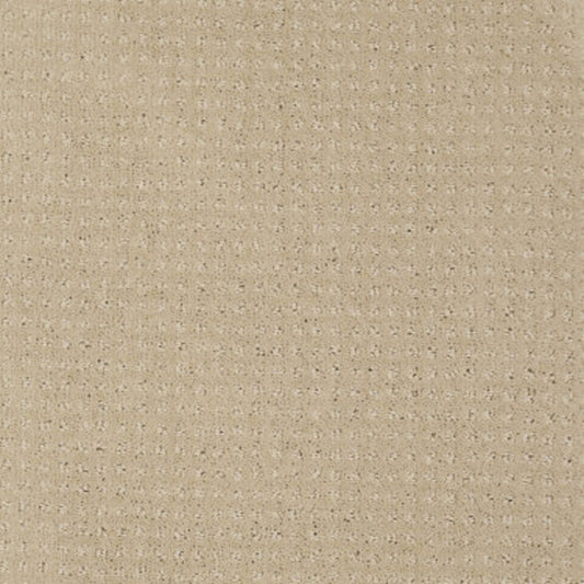 Enduring Comfort Pattern in Mesa Carpet