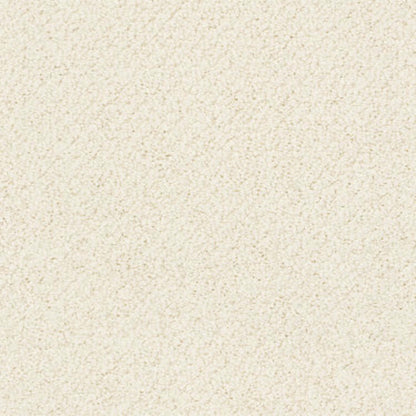 Timeless Charm Loop in China Pearl Carpet