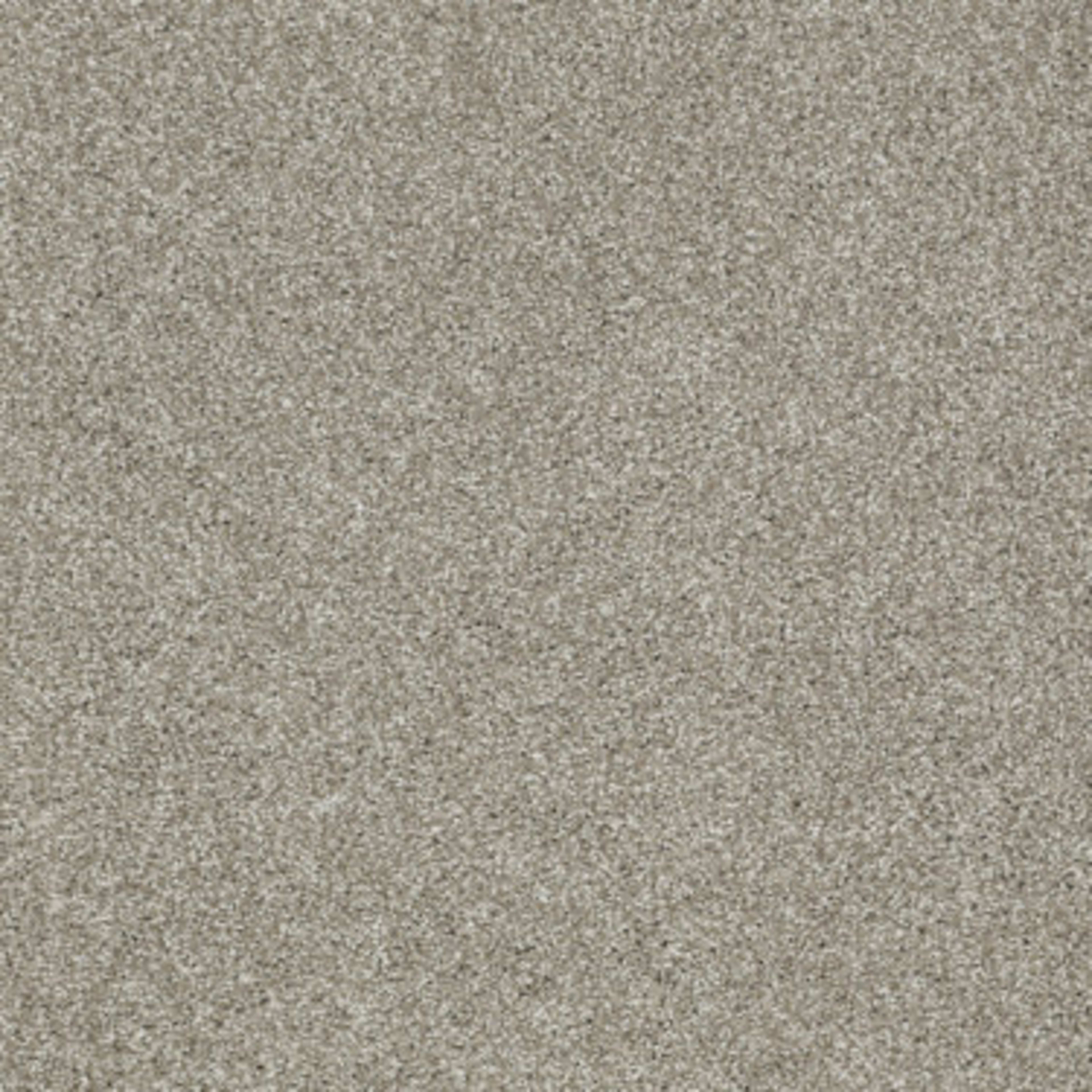 Picturesque in Gray Flannel Carpet
