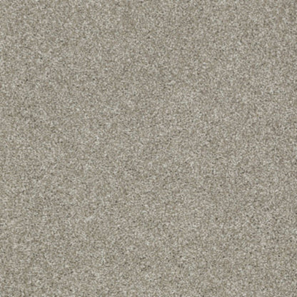 Picturesque in Gray Flannel Carpet