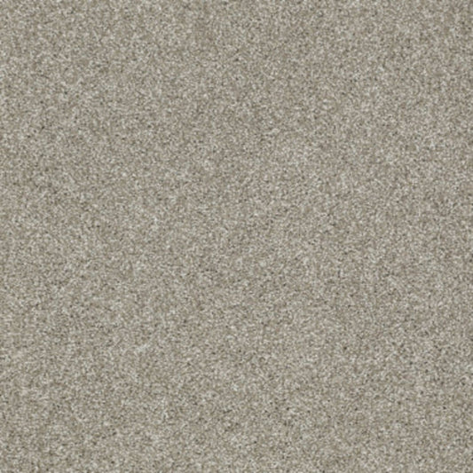 Picturesque in Gray Flannel Carpet
