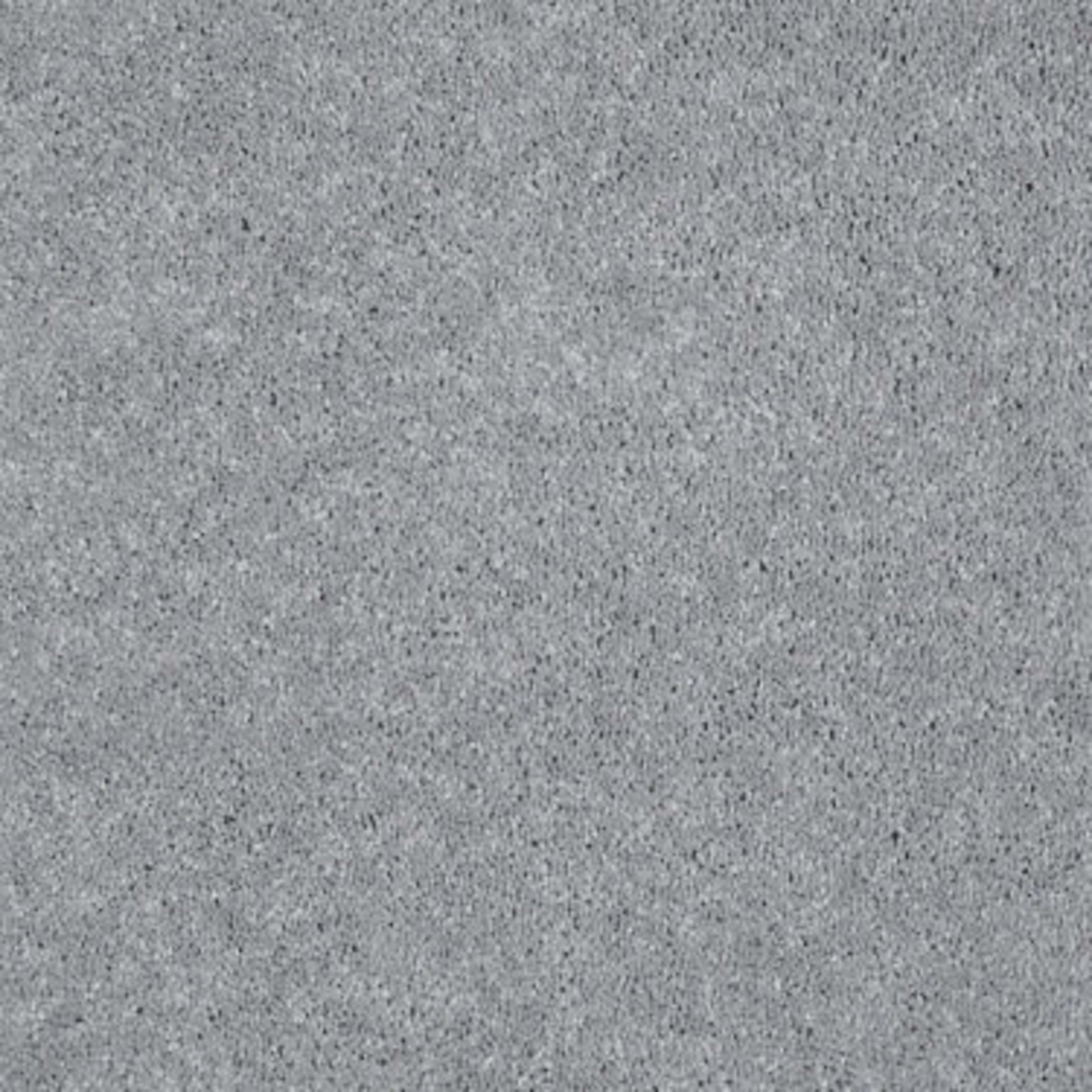 Well Played I 12' in Nickel Carpet