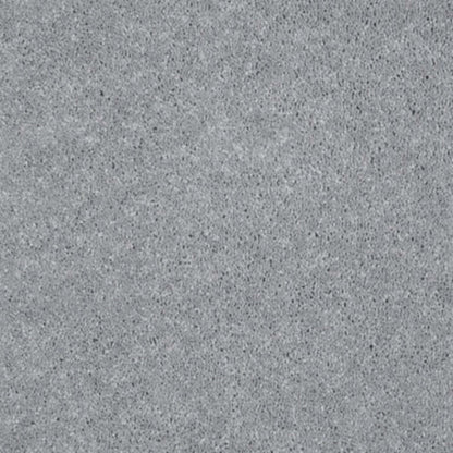 Well Played I 12' in Nickel Carpet
