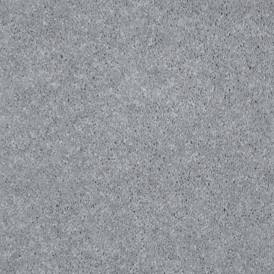 Well Played I 12' in Nickel Carpet